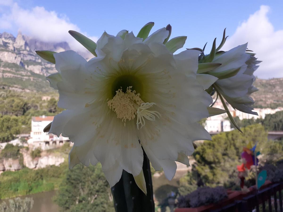 Monistrol de MontserratPiso Con Desayuno Incluido Y Vistas A La Montana.アパートメント エクステリア 写真